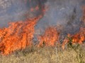 Πυρκαγιά σε ξερά χόρτα στην Ε.Ο. Αμπελώνα-Δελερίων